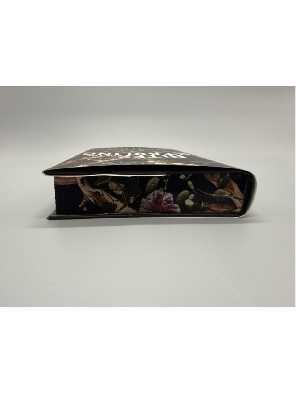 Rites of the Starling Hardcover Sprayed Edges - Picture 6 of 7